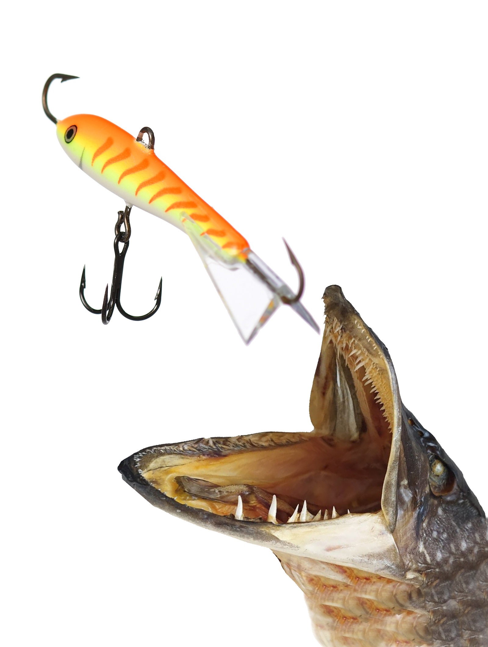 Jigging Rap W09 OTU - фото2