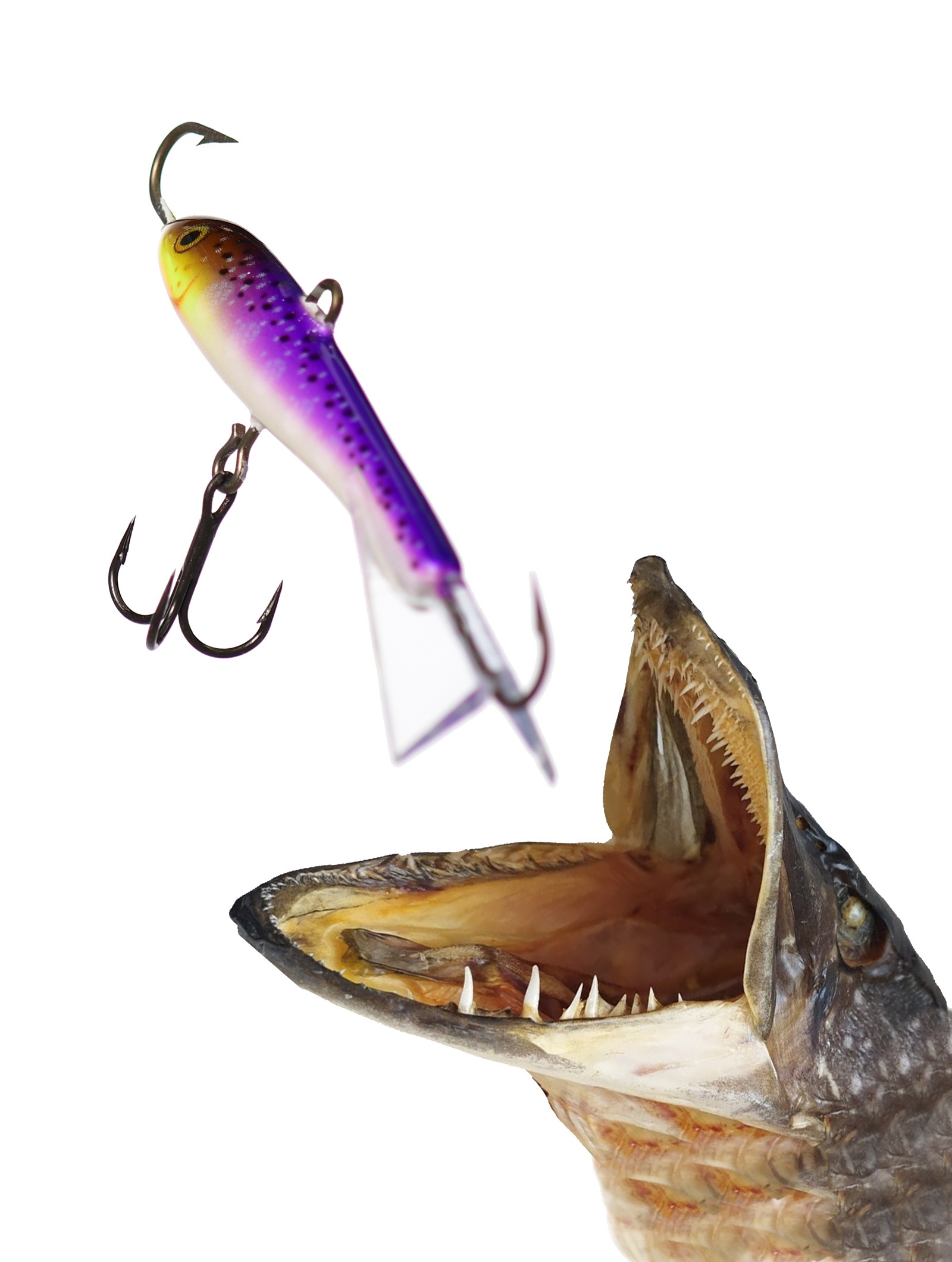 Jigging Rap W09 PD - фото2