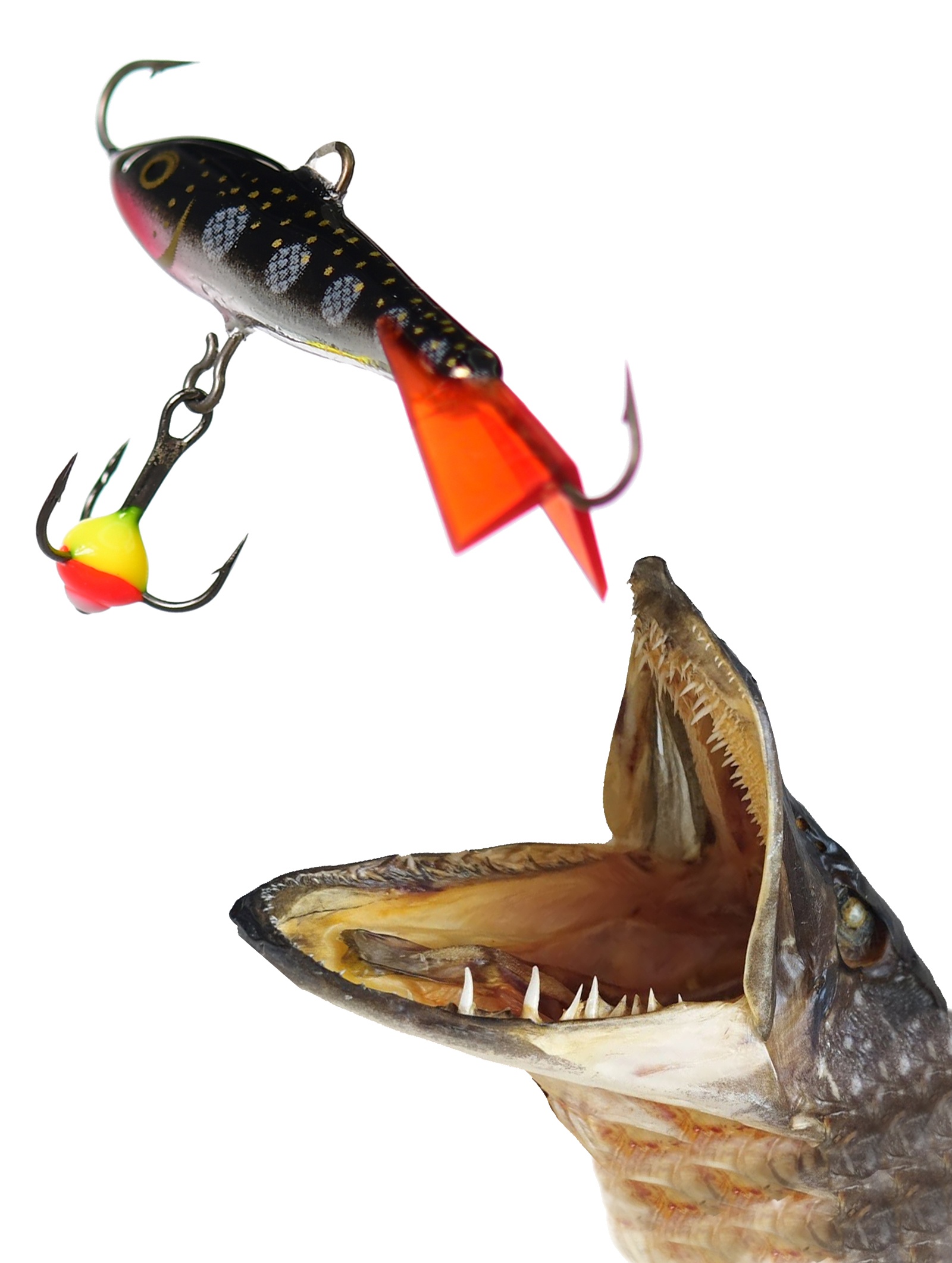 Jigging Rap WH03 MS - фото2