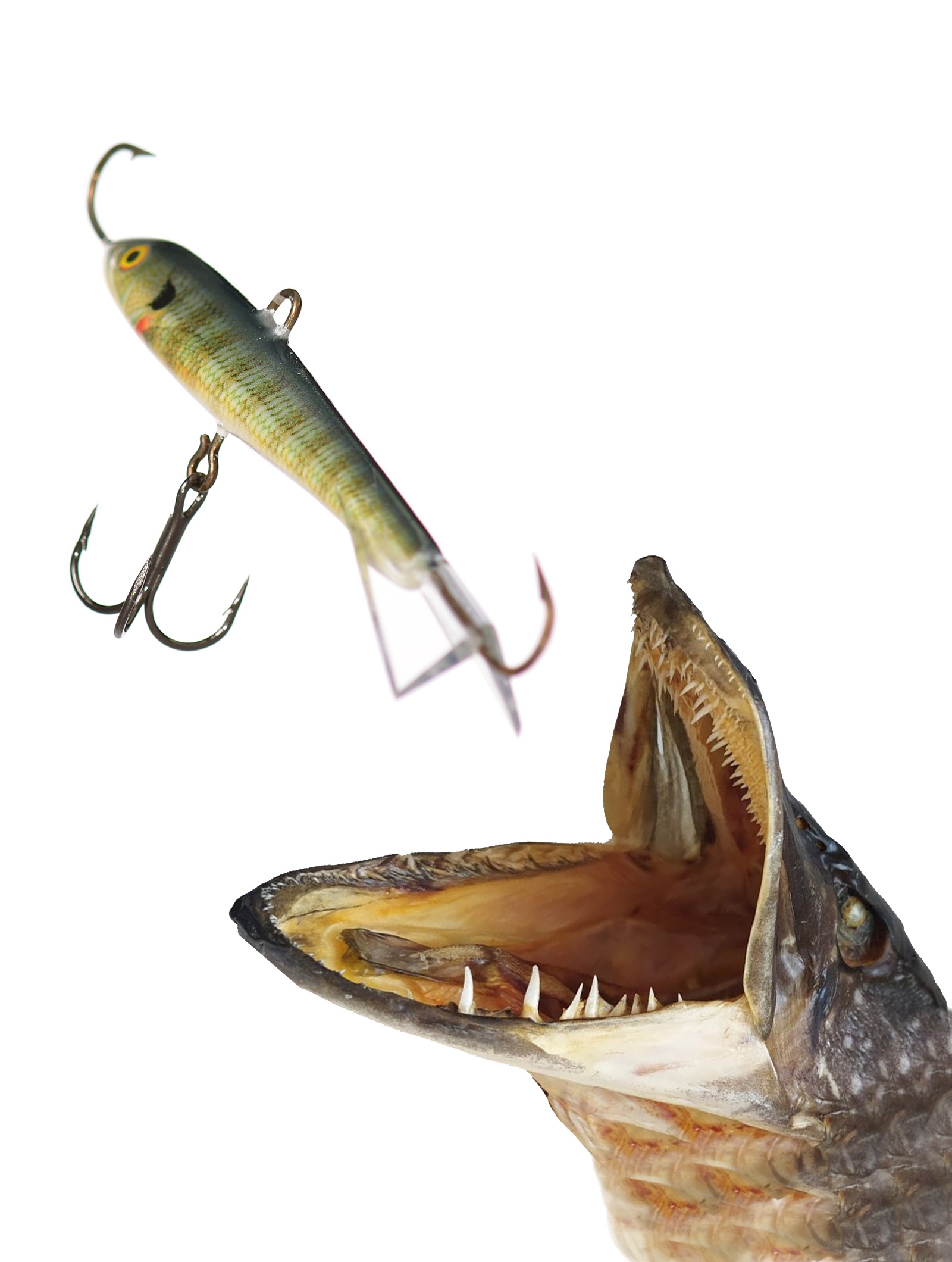 Jigging Rap W09 BG - фото2