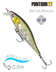 Bet-A-Minnow 92 SP-SR-R30 - фото