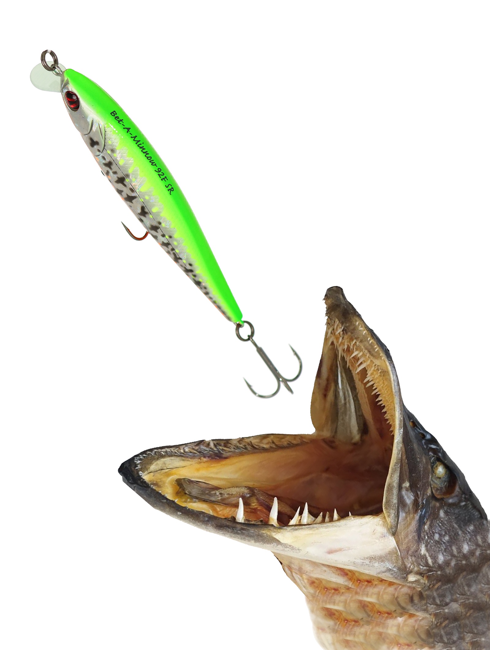 Bet-A-Minnow 92 F-SR-R33 - фото2