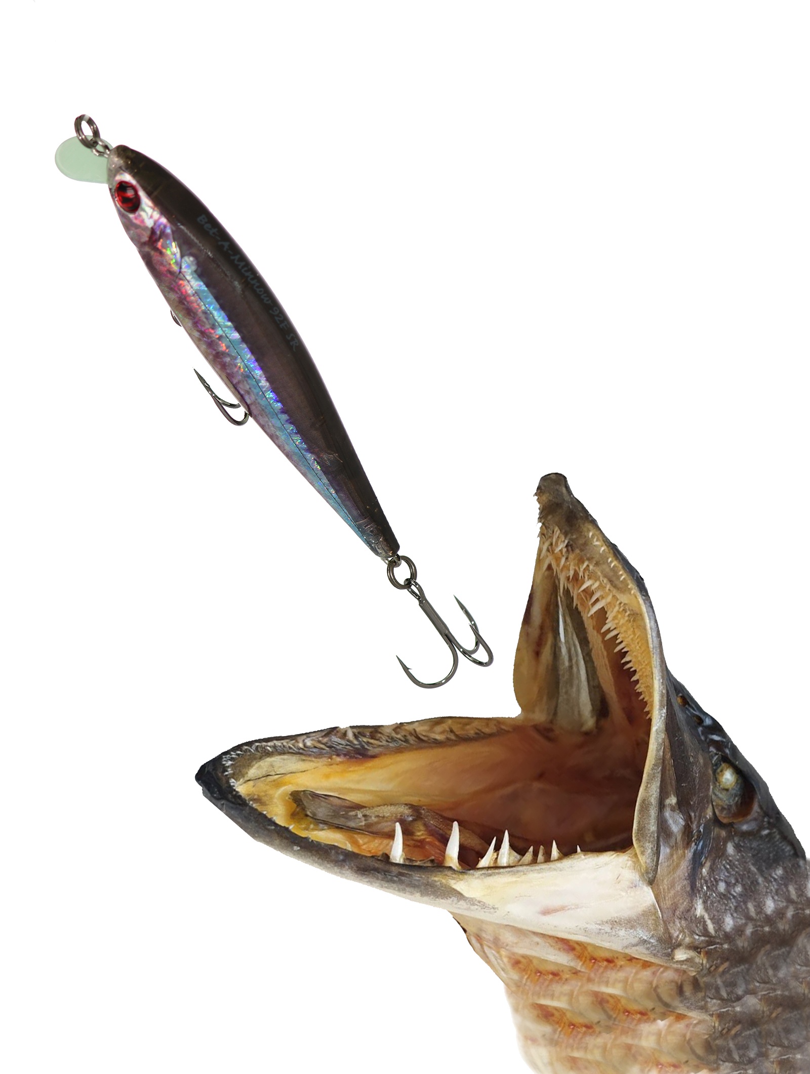 Bet-A-Minnow 92 F-SR-R55 - фото2