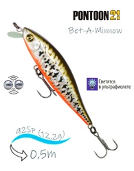 Bet-A-Minnow 92 SP-SR-R53 - фото