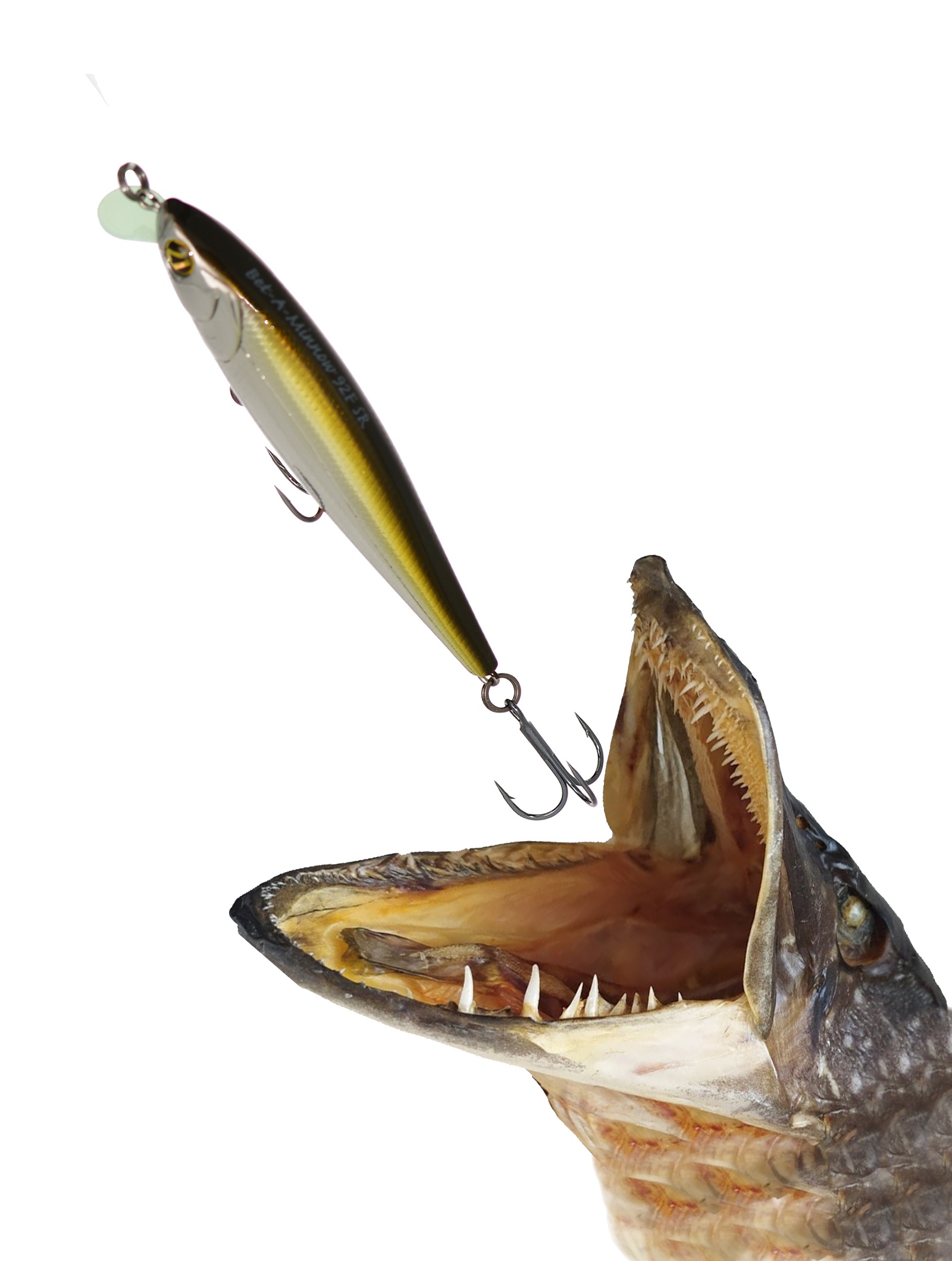 Bet-A-Minnow 92 F-SR-R60 - фото2