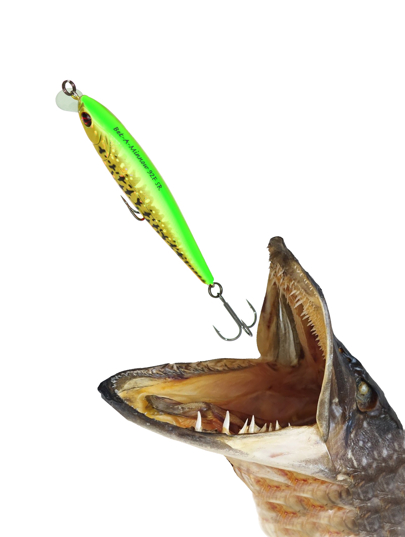 Bet-A-Minnow 92 F-SR-R65 - фото2