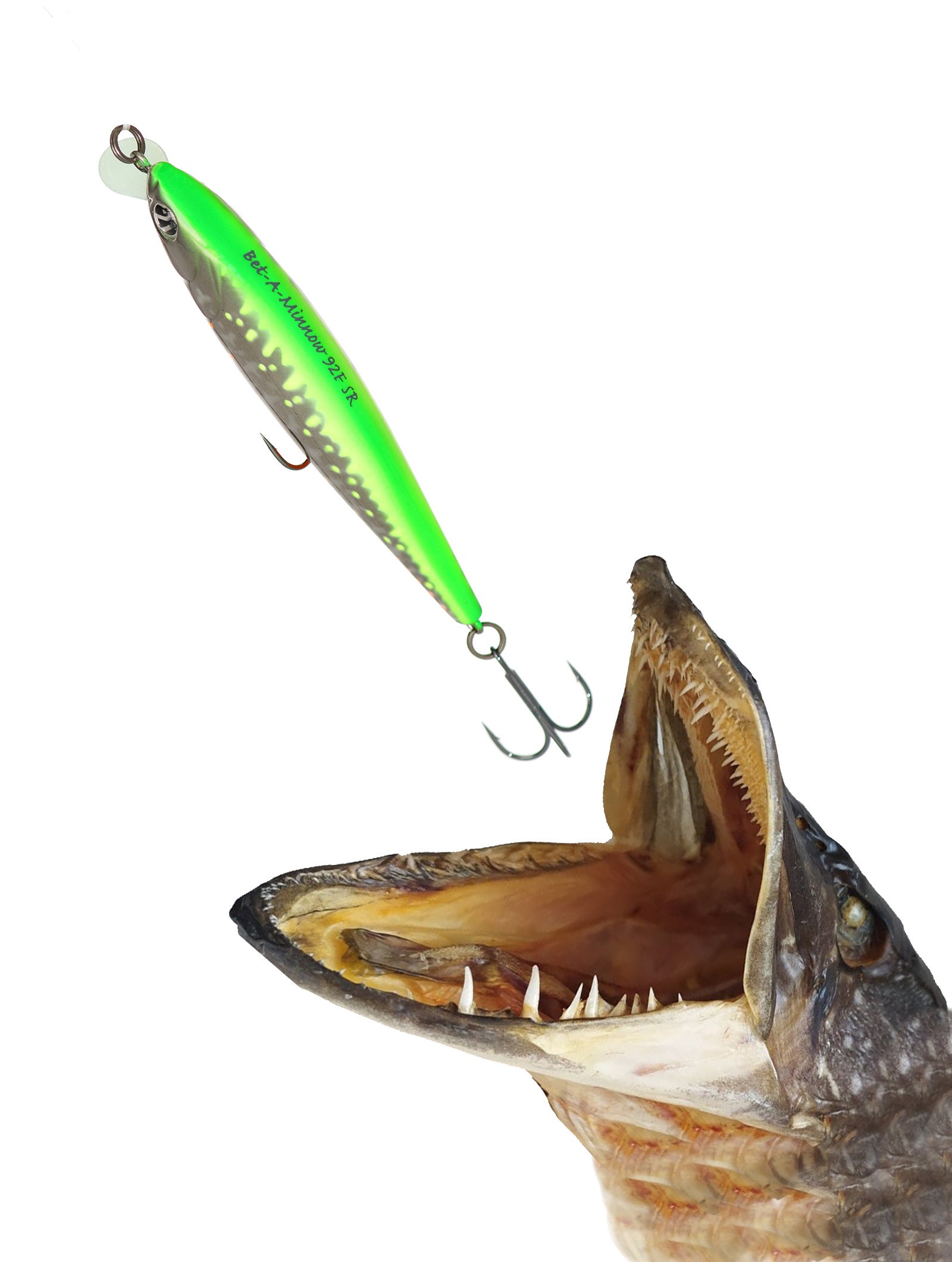 Bet-A-Minnow 92 F-SR-R66 - фото2