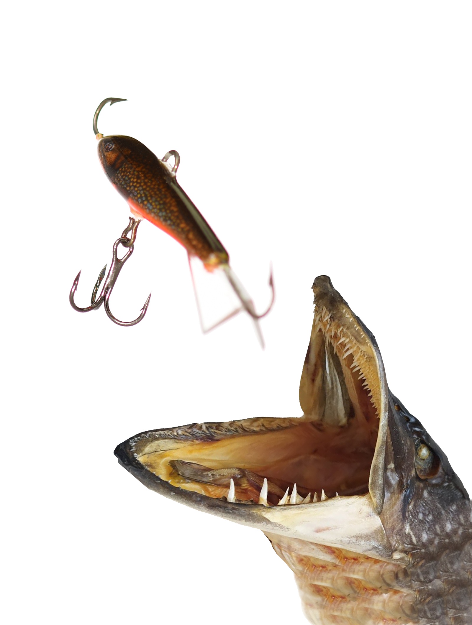 Jigging Rap W05 BKL - фото2