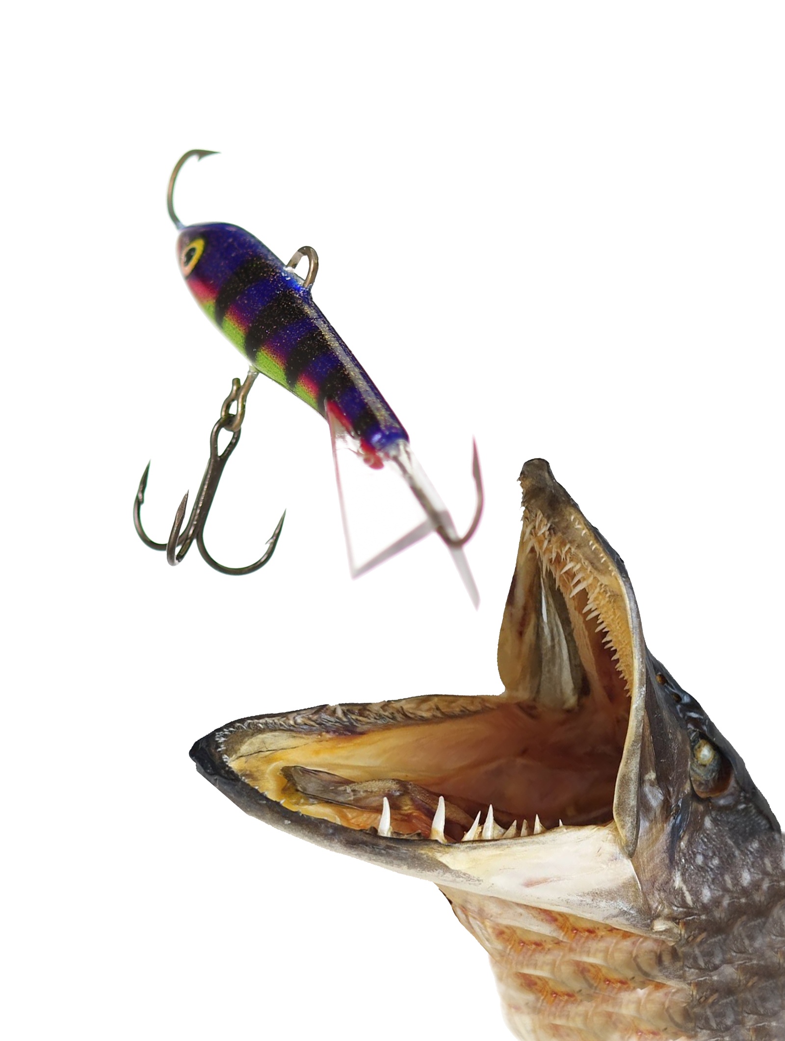 Jigging Rap W05 PRSH - фото2