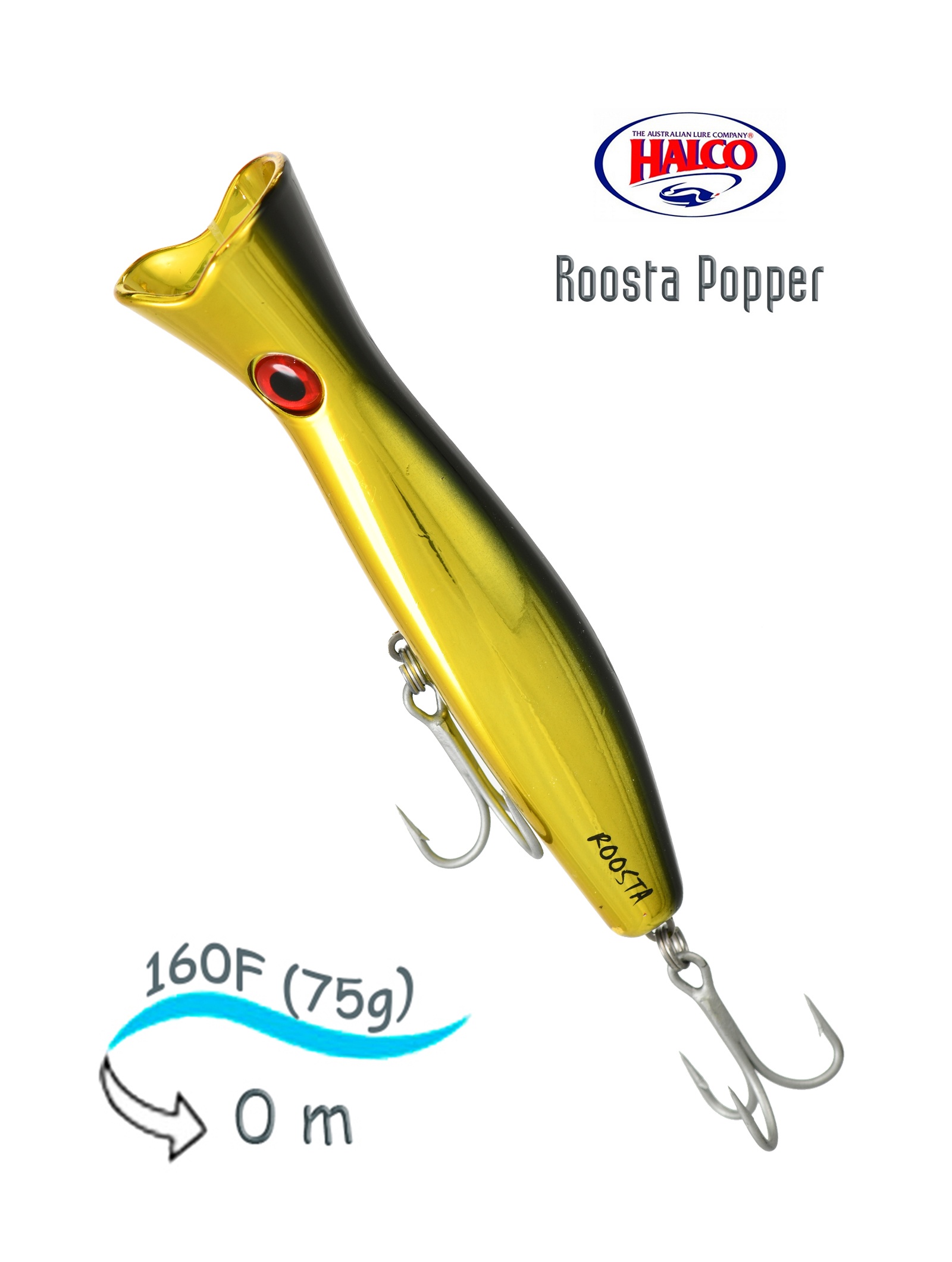 Roosta Popper 160 H51