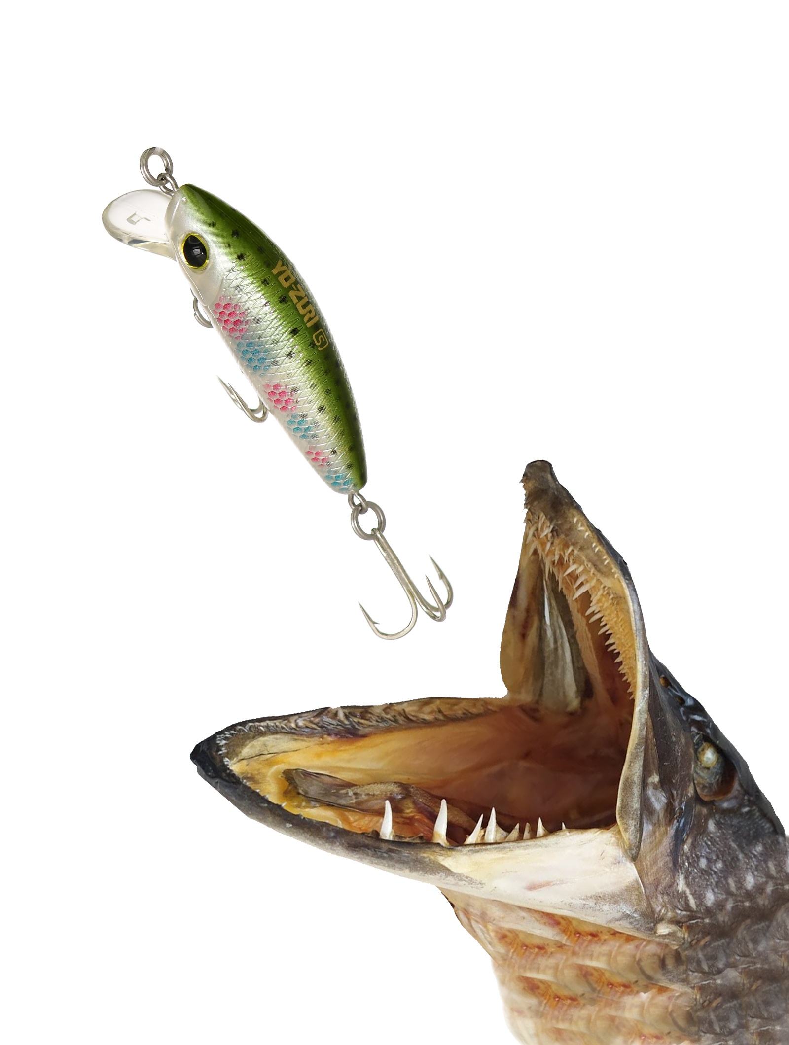 L-Minnow F1168-NRT - фото2