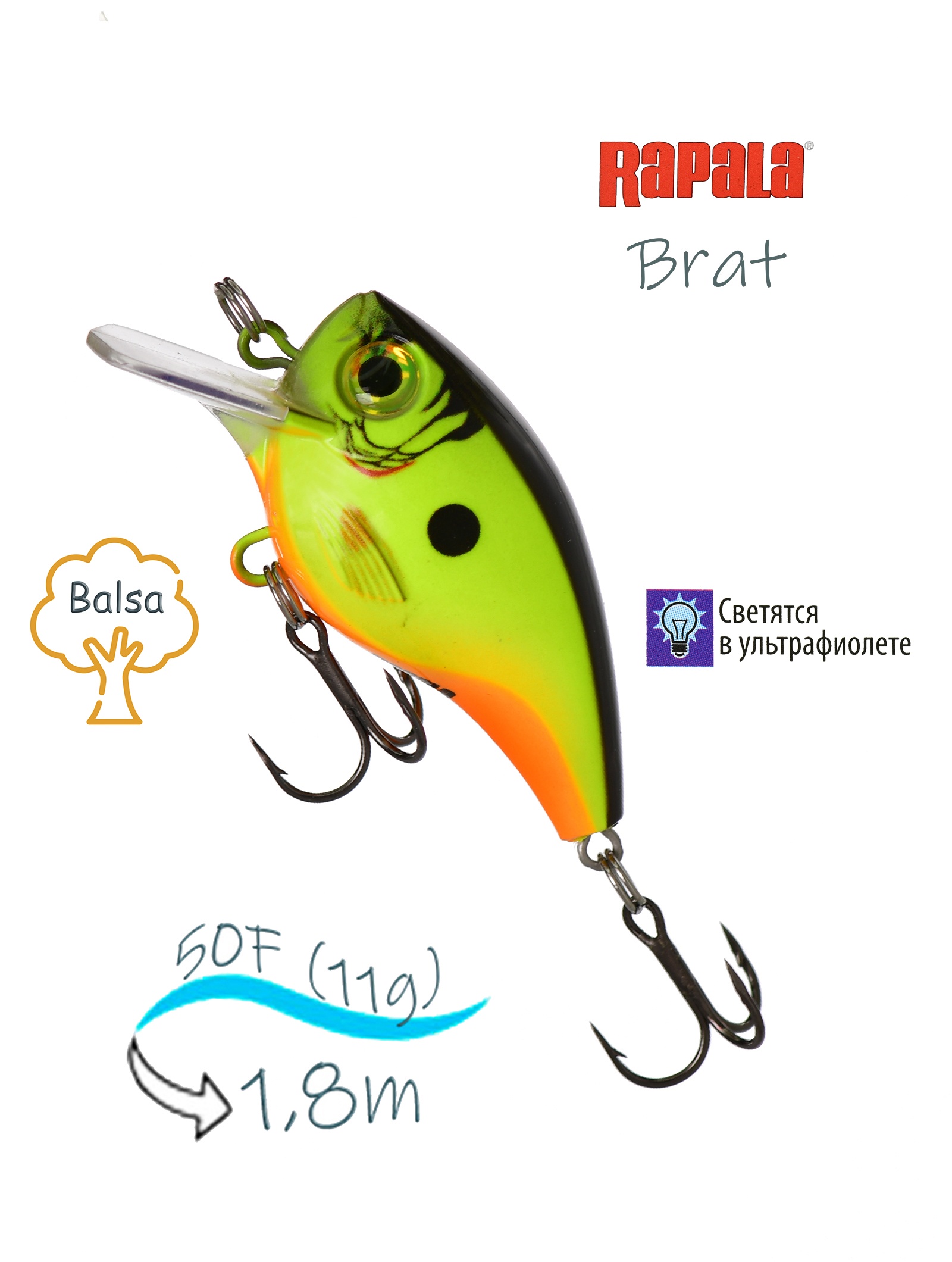 BXB06-CSD Brat - фото