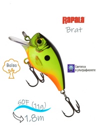 BXB06-CSD Brat - фото