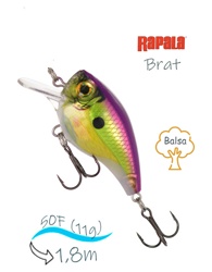 BXB06-ROC Brat - фото