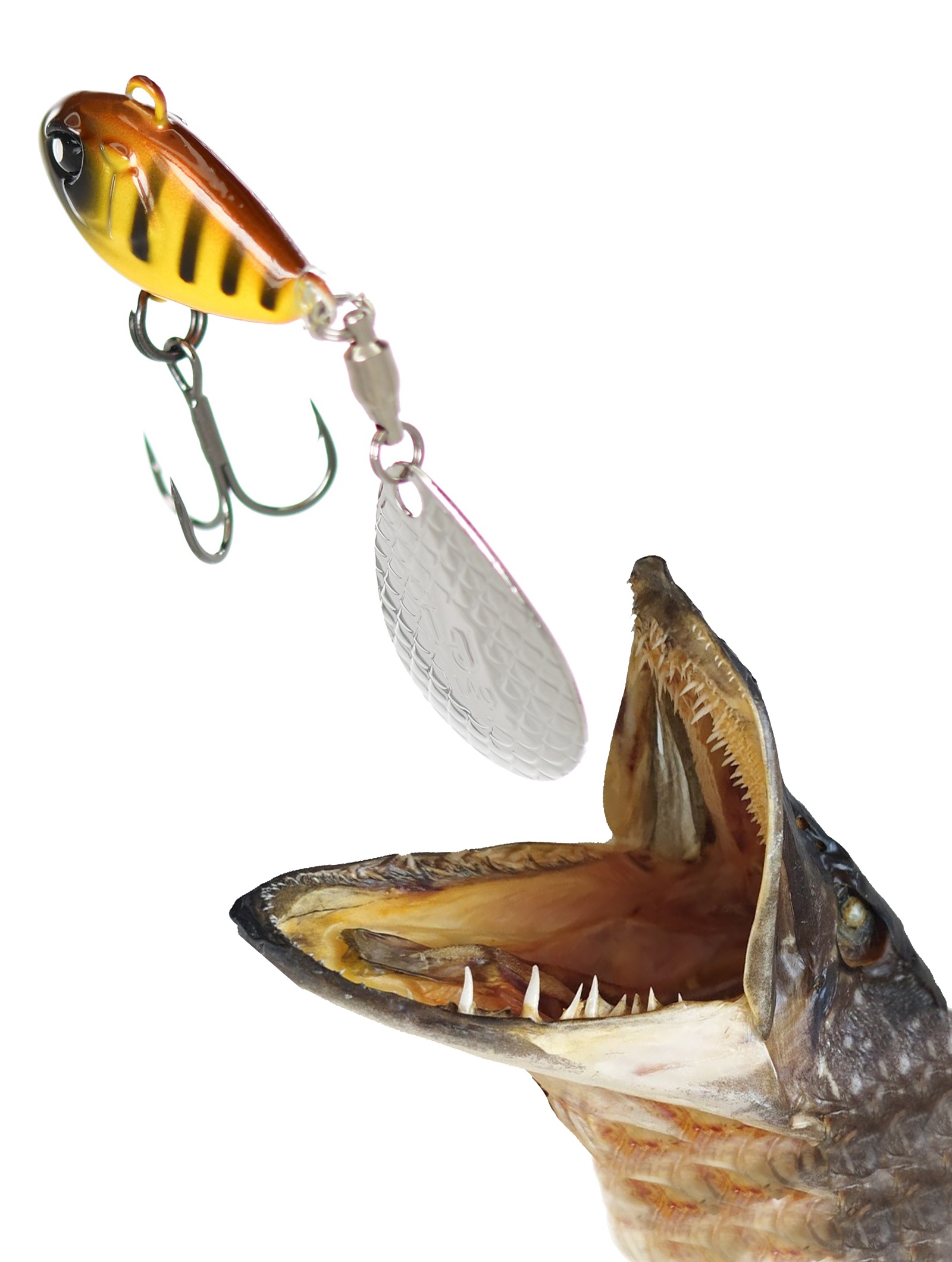 Basara Tail Spin 08-007 - фото2