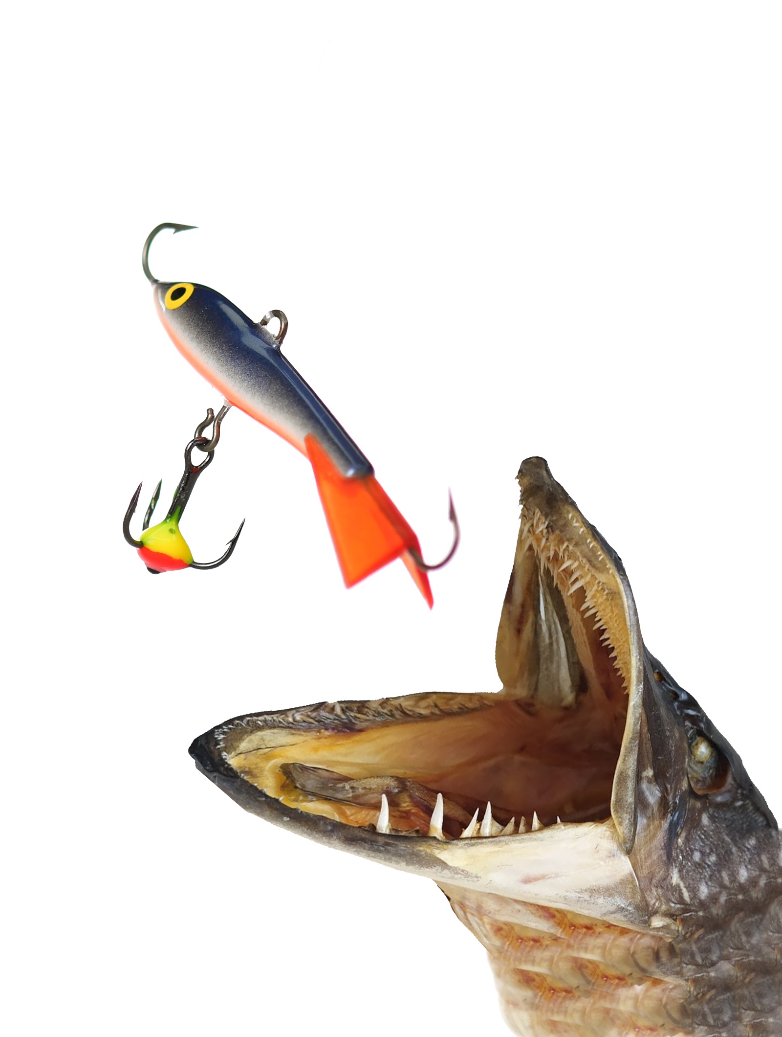 Jigging Rap WH05 SSD - фото2
