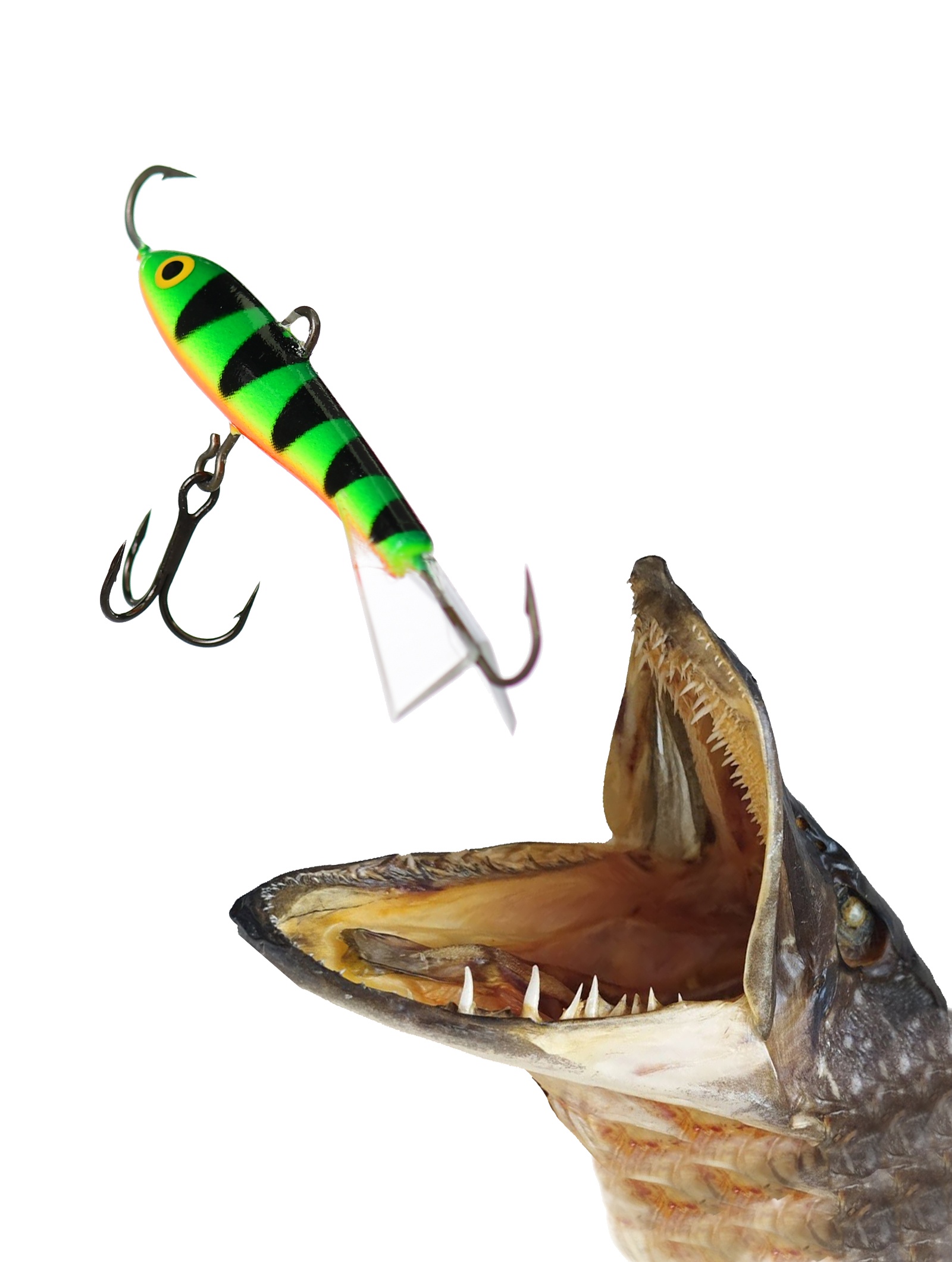 Jigging Rap W05 GLP-1 - фото2