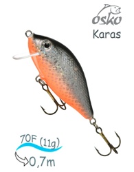 OFK07-48 Karas - фото