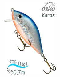 OFK07-47 Karas - фото
