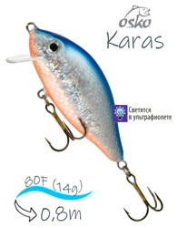 OFK08-47 Karas - фото