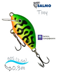 QIT036 Tiny IT-030-SI-GRT - фото