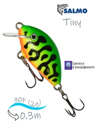 QIT034 Tiny IT-030-FL-GRT - фото