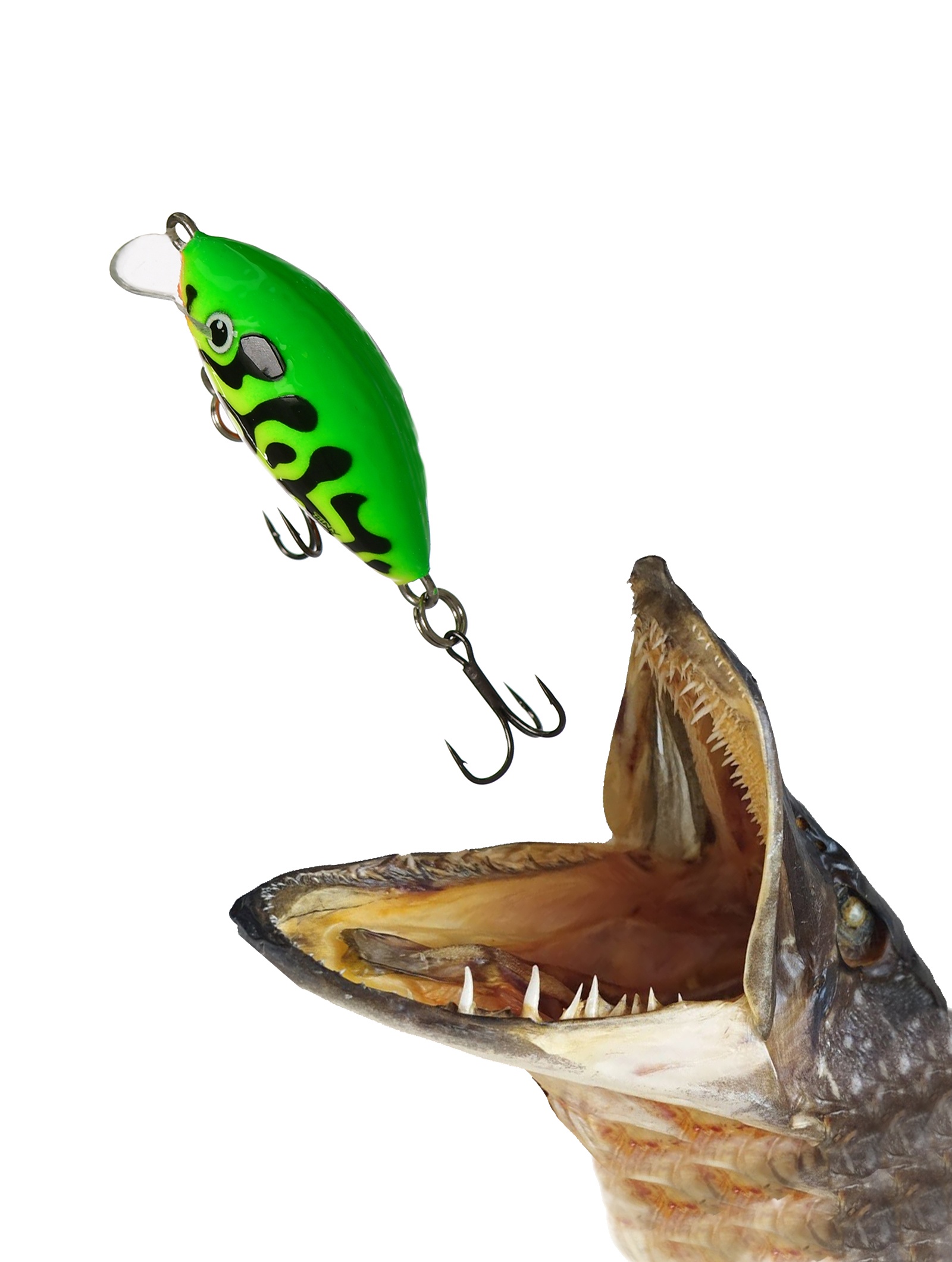 QIT034 Tiny IT-030-FL-GRT - фото2