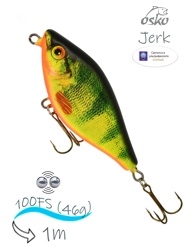 OSJ10-51 Jerk - фото