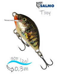 QIT035 Tiny IT-030-FL-HTK - фото