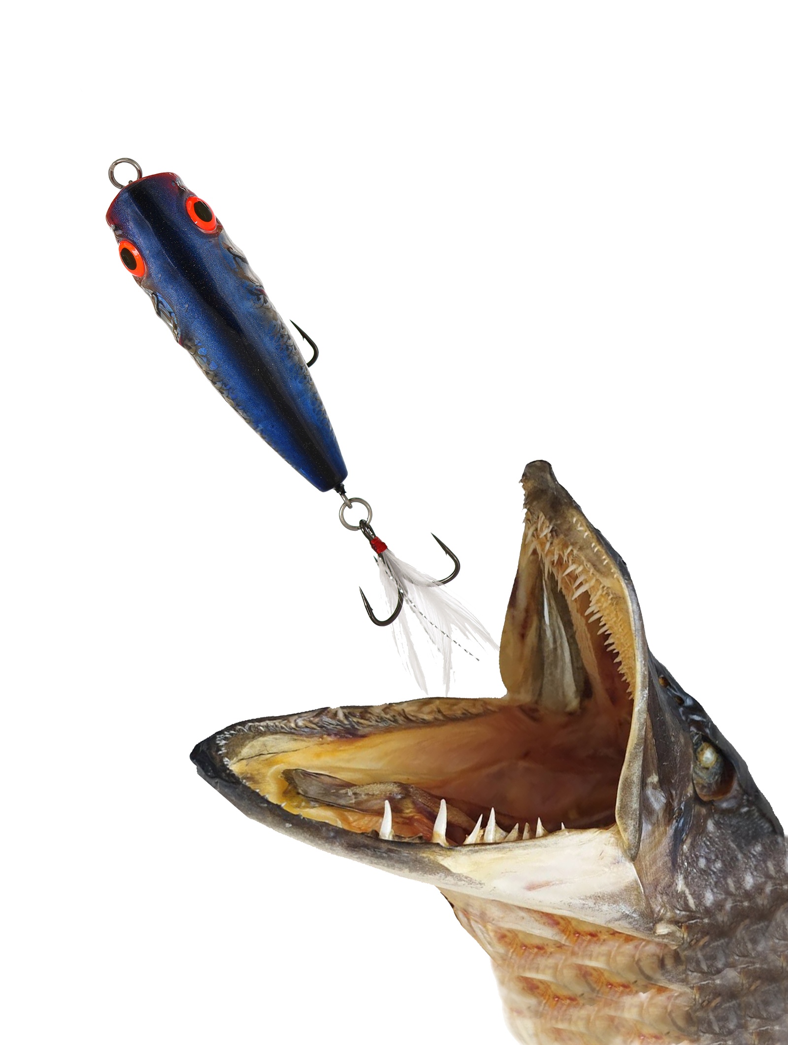 QRA001 Rattlin Pop 70-FL-CBH - фото2