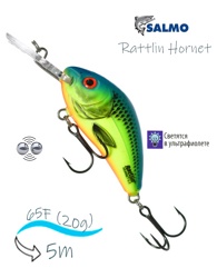 QRH019 Rattlin Hornet RH-065-FL-CHB - фото