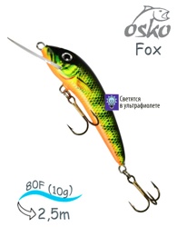 OFF08-01 Fox - фото