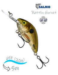 QRH539 Rattlin Hornet RH-065-FL-CPS - фото