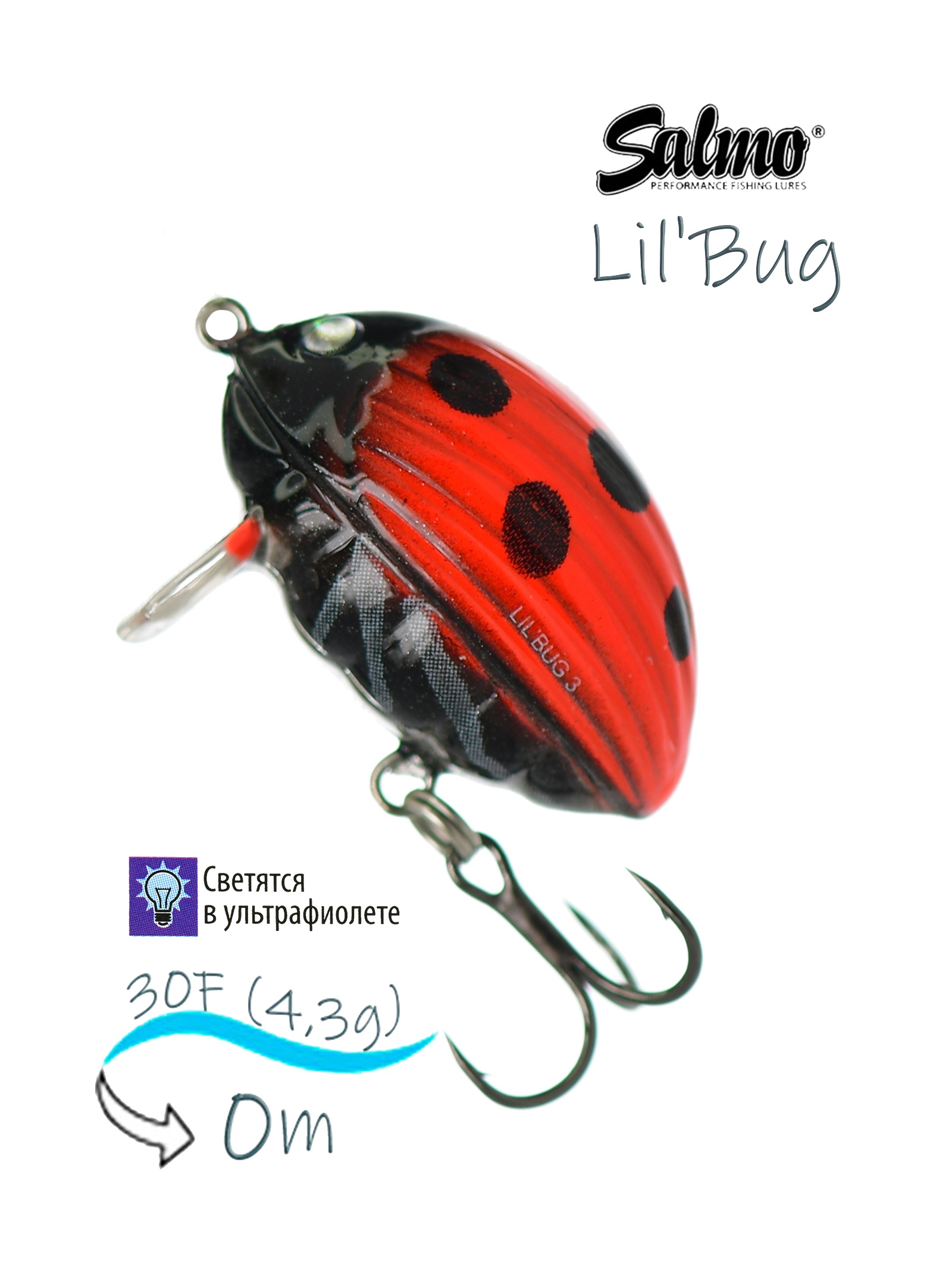 QBG002 Lil'Bug 03-LAB - фото