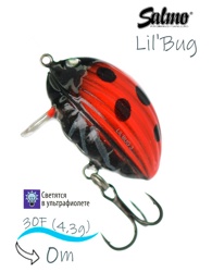 QBG002 Lil'Bug 03-LAB - фото