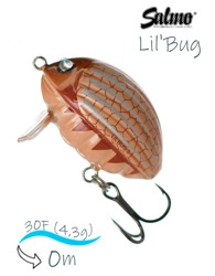 QBG018 Lil'Bug 03-MFL - фото