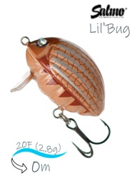 QBG016 Lil'Bug 02-MFL - фото