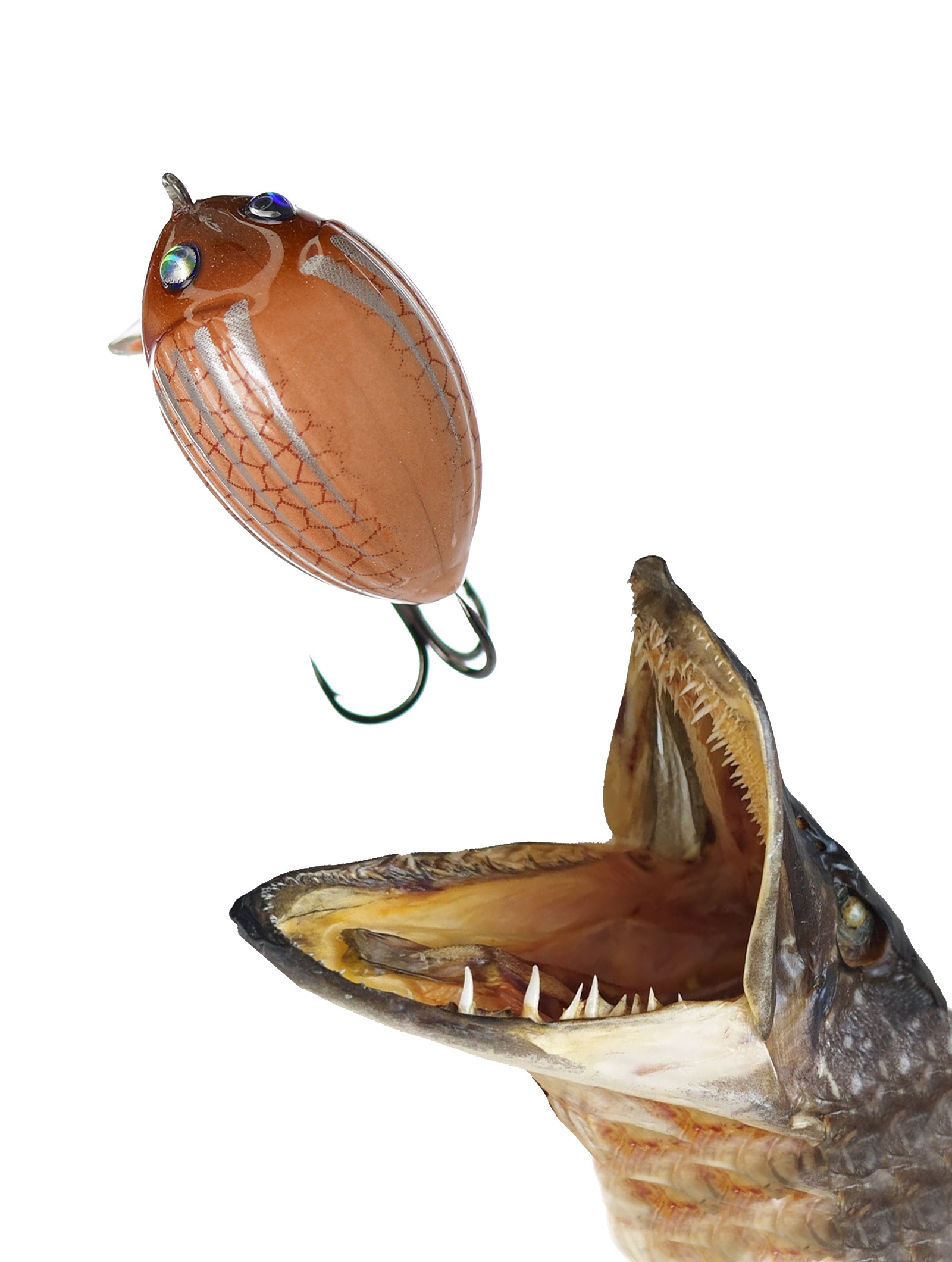 QBG018 Lil'Bug 03-MFL - фото2