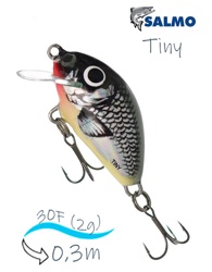 QIT005 Tiny IT-030-FL-HGS - фото