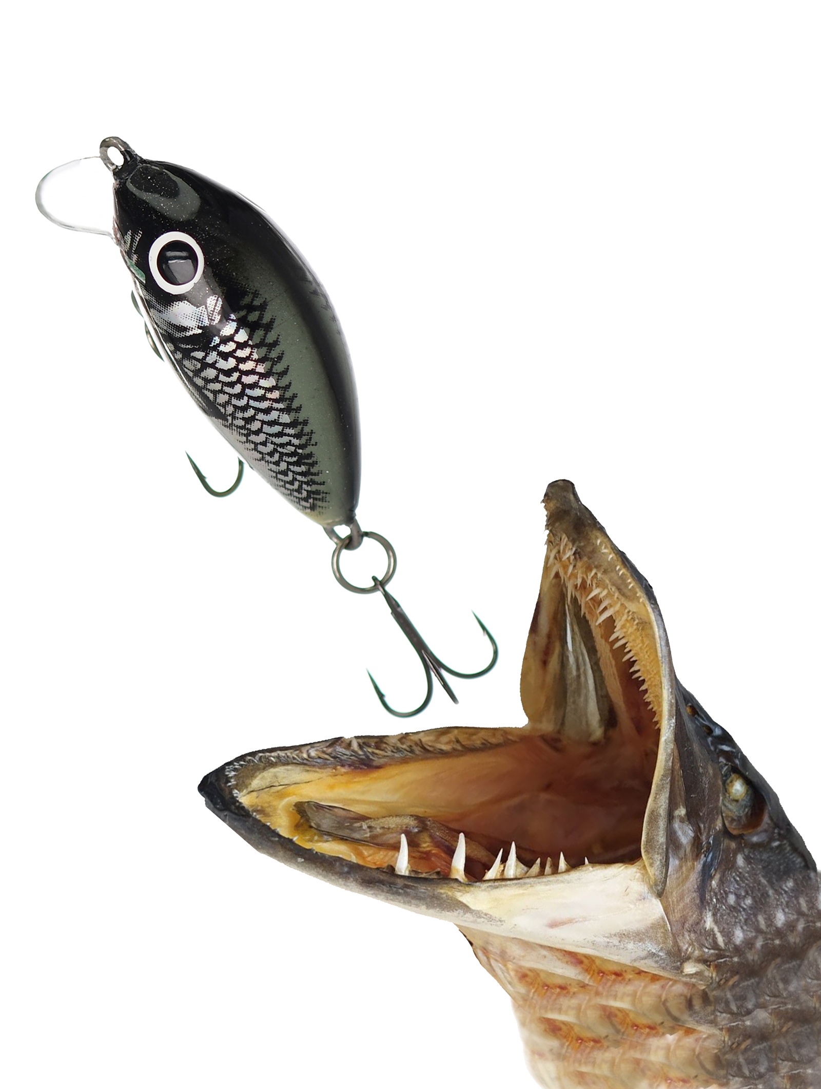 QIT005 Tiny IT-030-FL-HGS - фото2