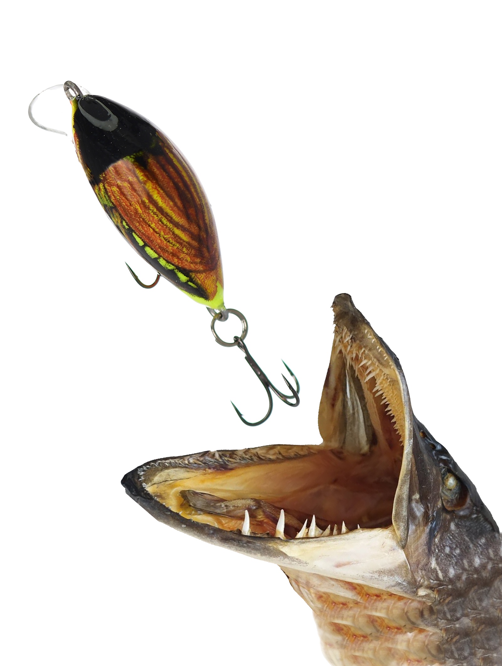 QIT004 Tiny IT-030-FL-HOC - фото2