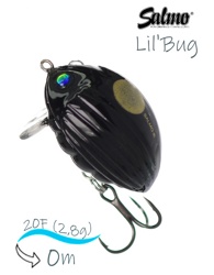 QBG015 Lil'Bug 02-BBU - фото