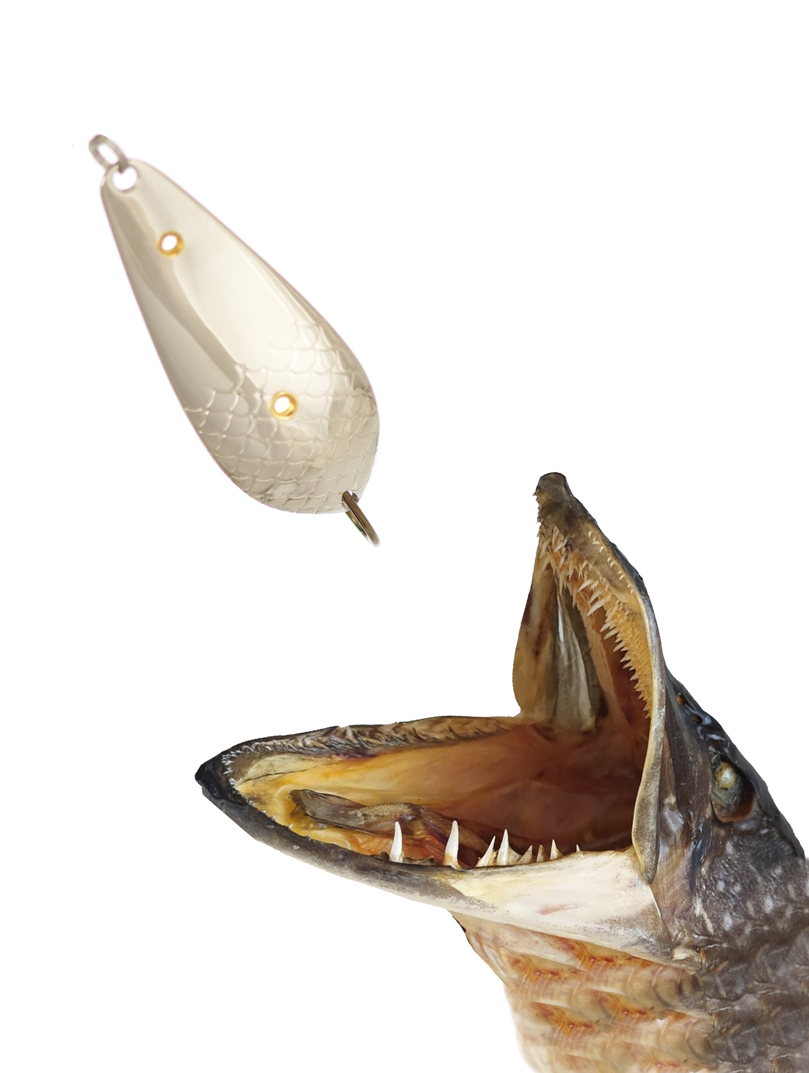 Атом 67 (Н)-12 S - фото2