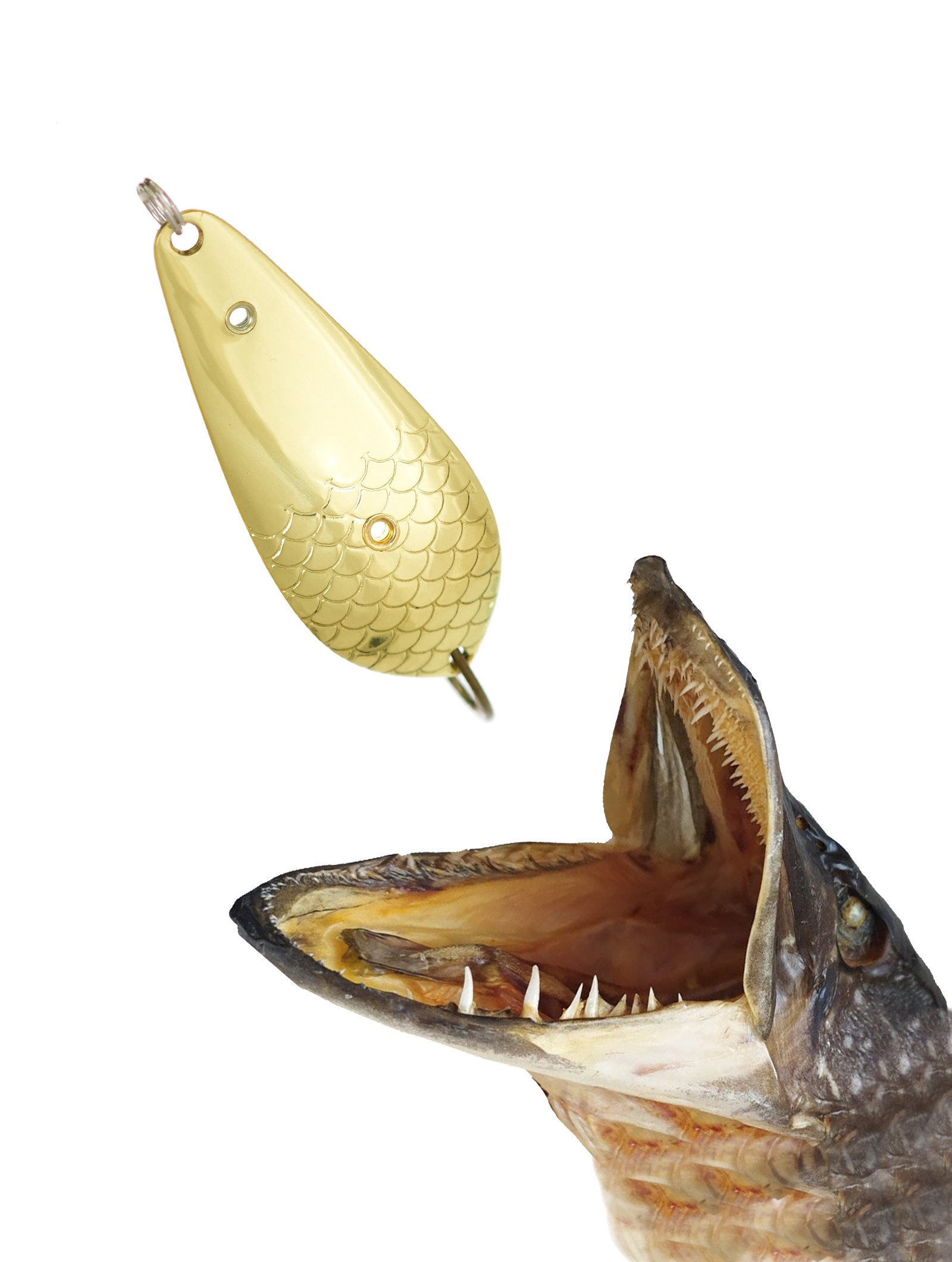 Атом 67 (Н)-12 G - фото2