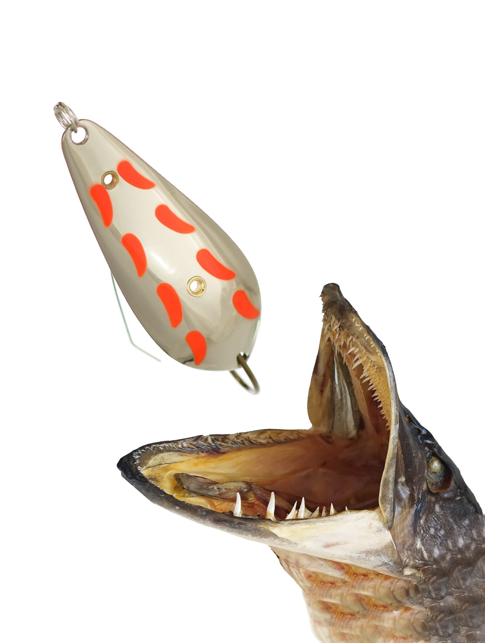 Атом 67 (Н)-12 S с точками - фото2