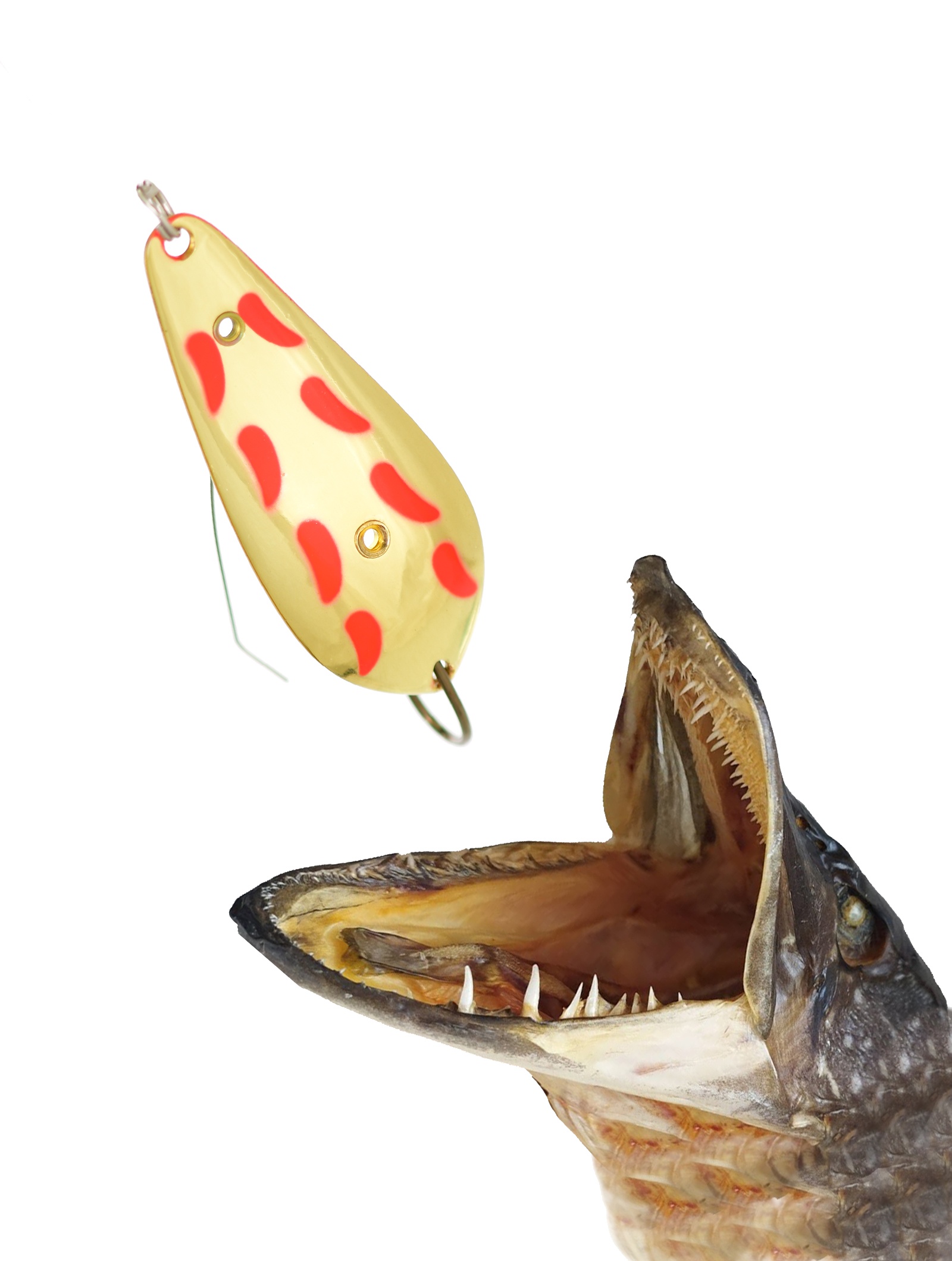 Атом 67 (Н)-12 G с точками - фото2