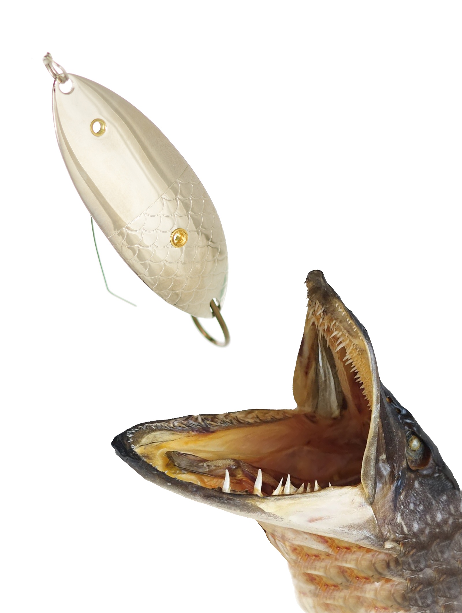 Крокодил 70 (Н)-13 S - фото2