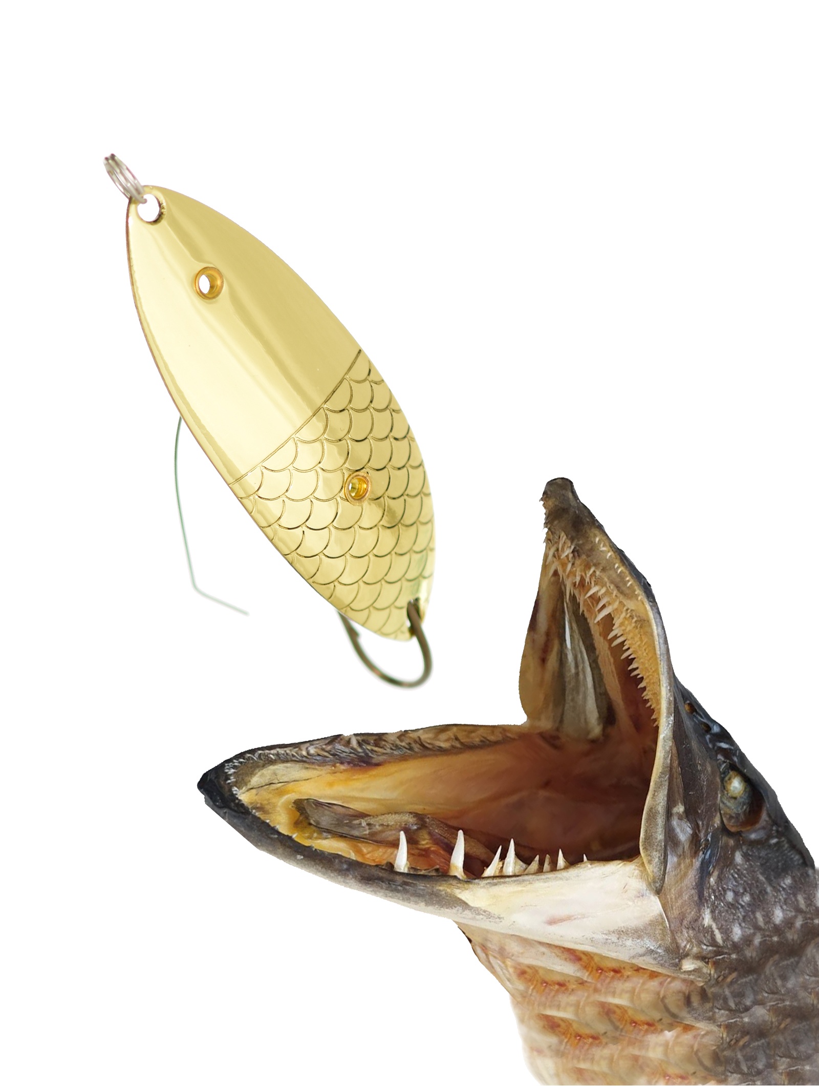 Крокодил 70 (Н)-13 G - фото2