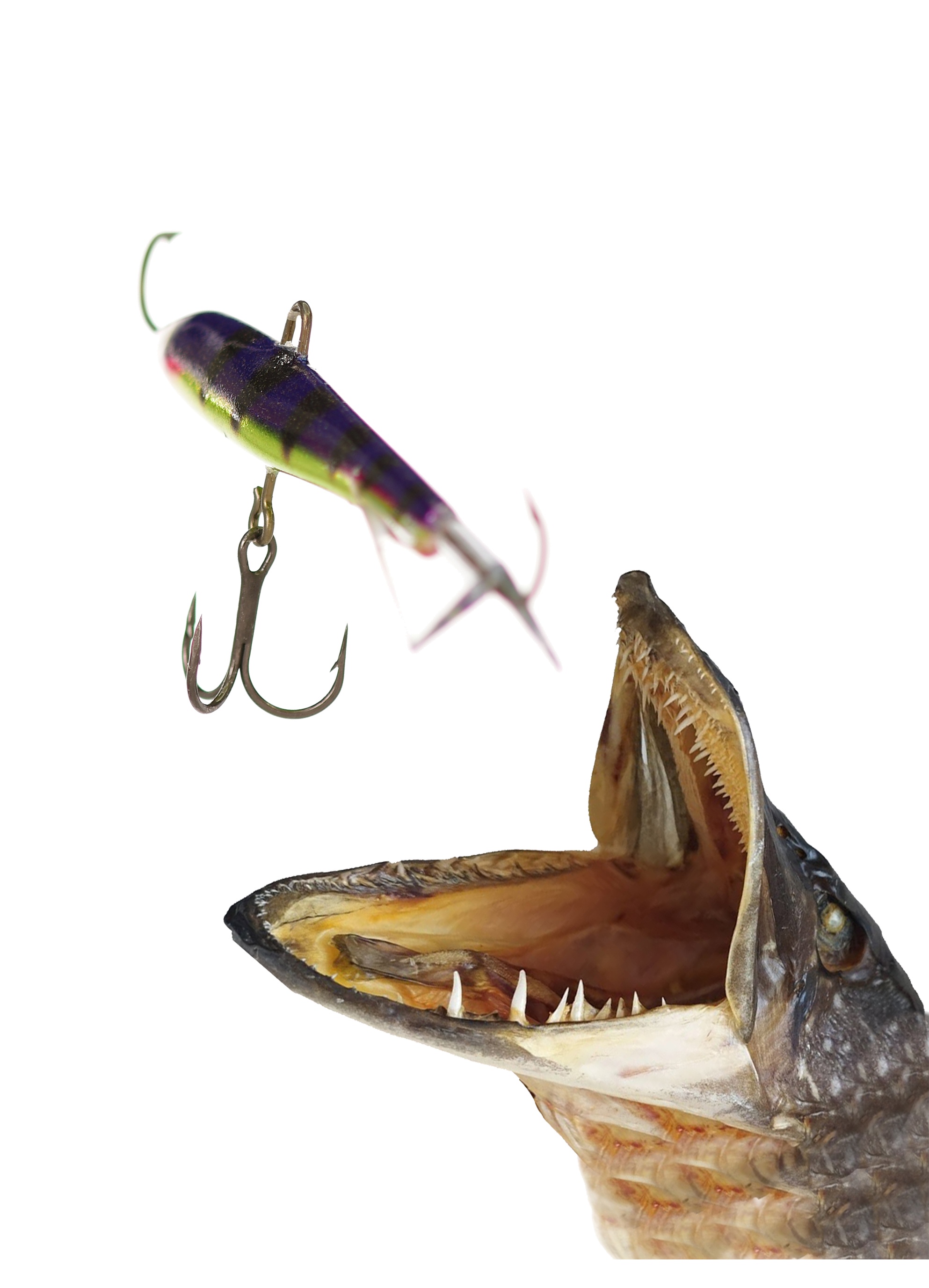 Jigging Rap W09 PRSH - фото2