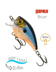 BXB03 BGH Brat - фото